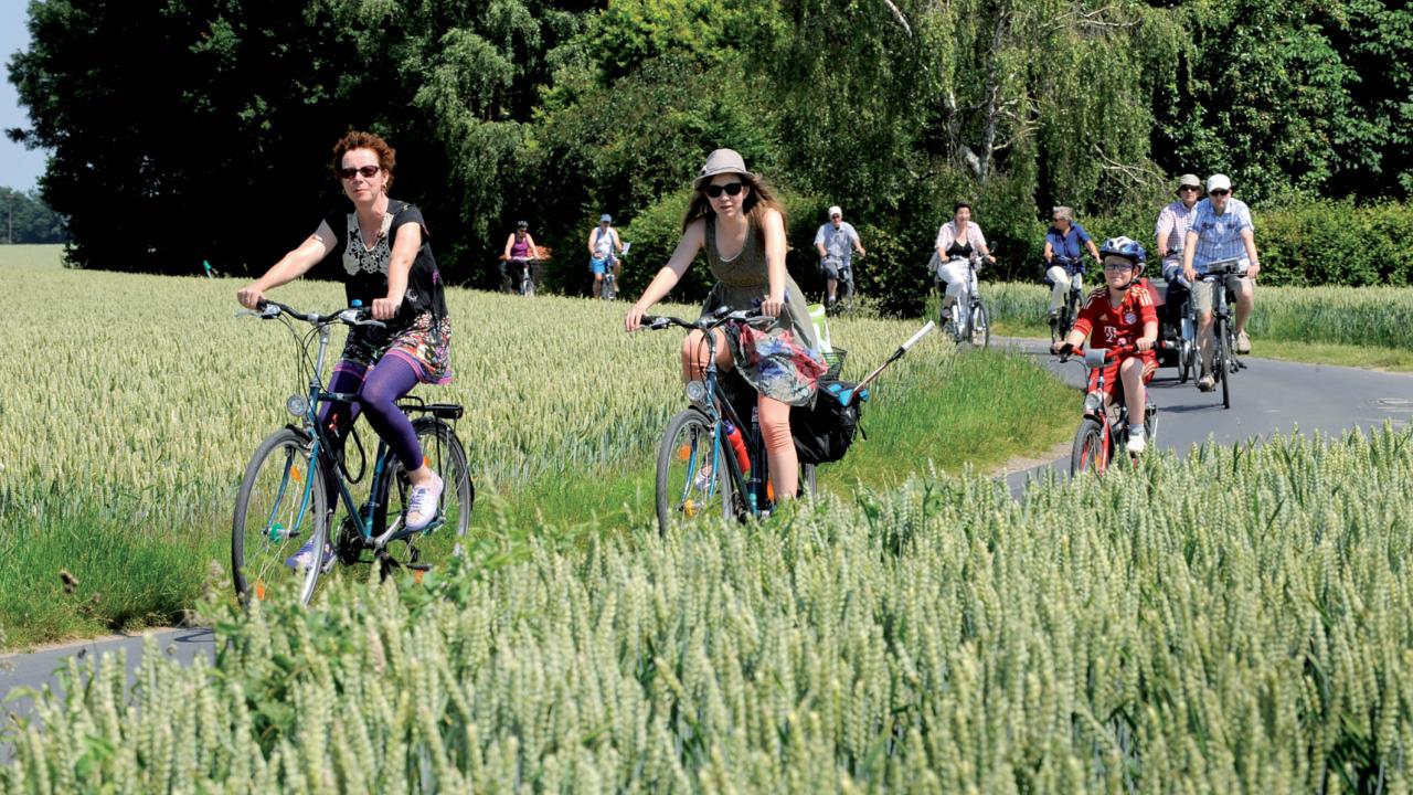 Radfahrer im Grünen_1280x720