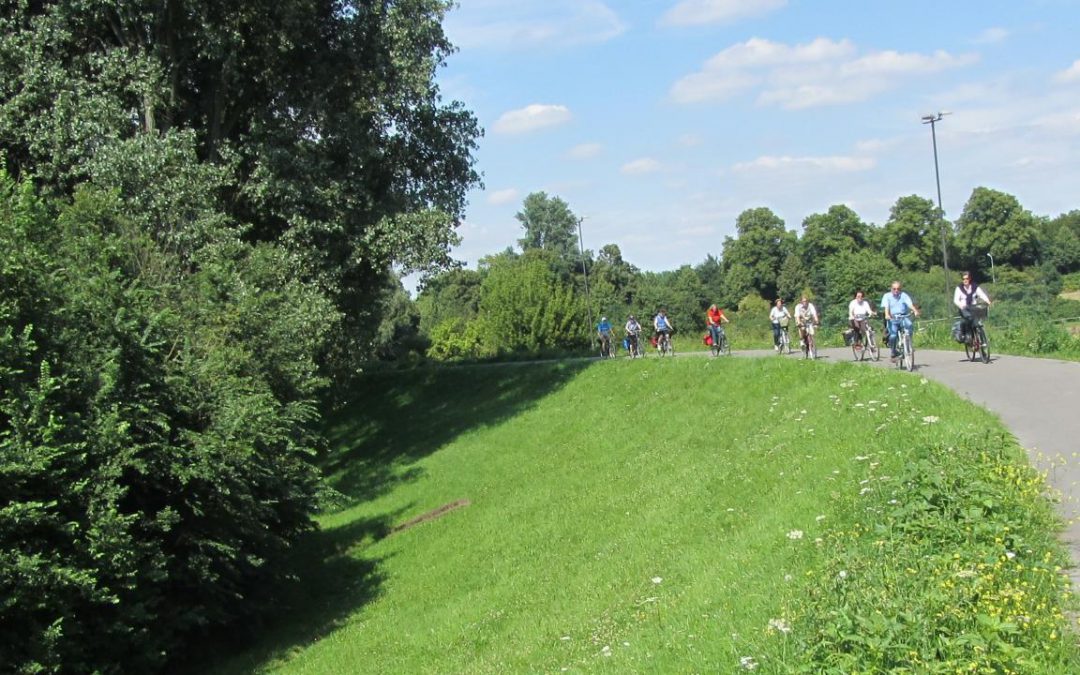 MOVIMENTO – Die musikalische Radtour am Rhein